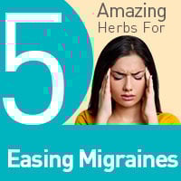 Migraines: 5 Natural Herbs For Alleviating Throbbing Headaches – Infographic