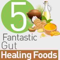 Digestive Health: 5 Splendid Foods That Enhances Gut Functions And Health - Infographic