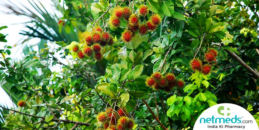 Rambutan fruit