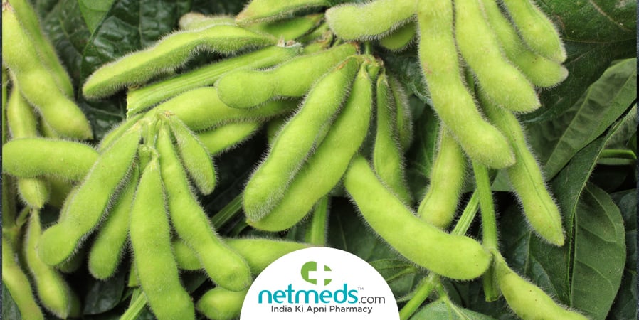 Edamame plant