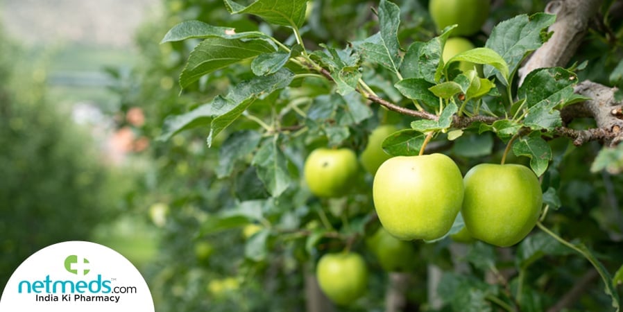 Green Apple