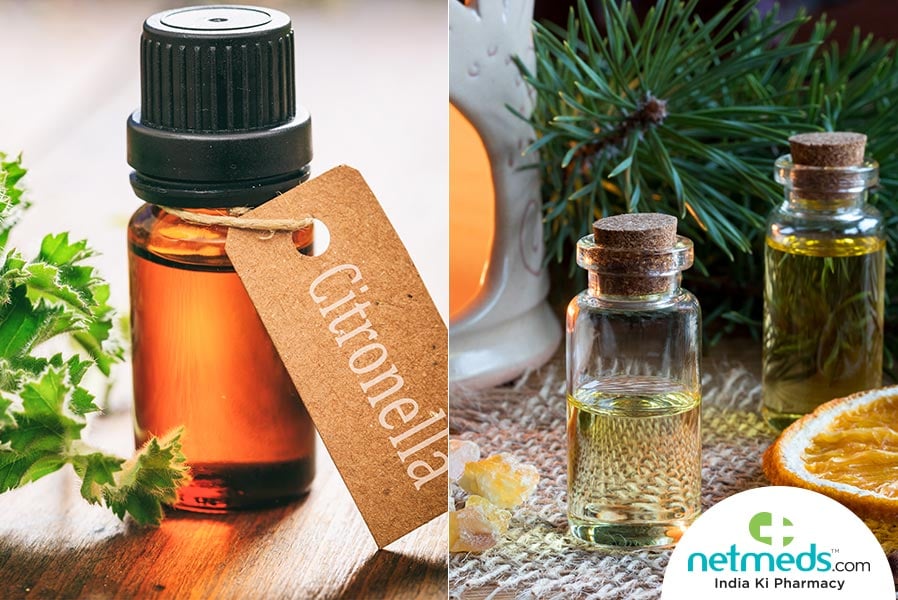 citronella essential oil