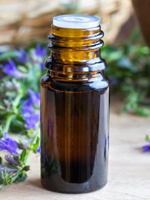 कैलोट्रोपिस जाइगैंटिया: इस औषधीय पौधे के स्वास्थ्य लाभ, उपयोग और घरेलू उपचार