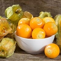 Golden Berry/Ground Cherry/Rasbhari: Incredible Health Benefits Of The Physalis Peruviana Fruit