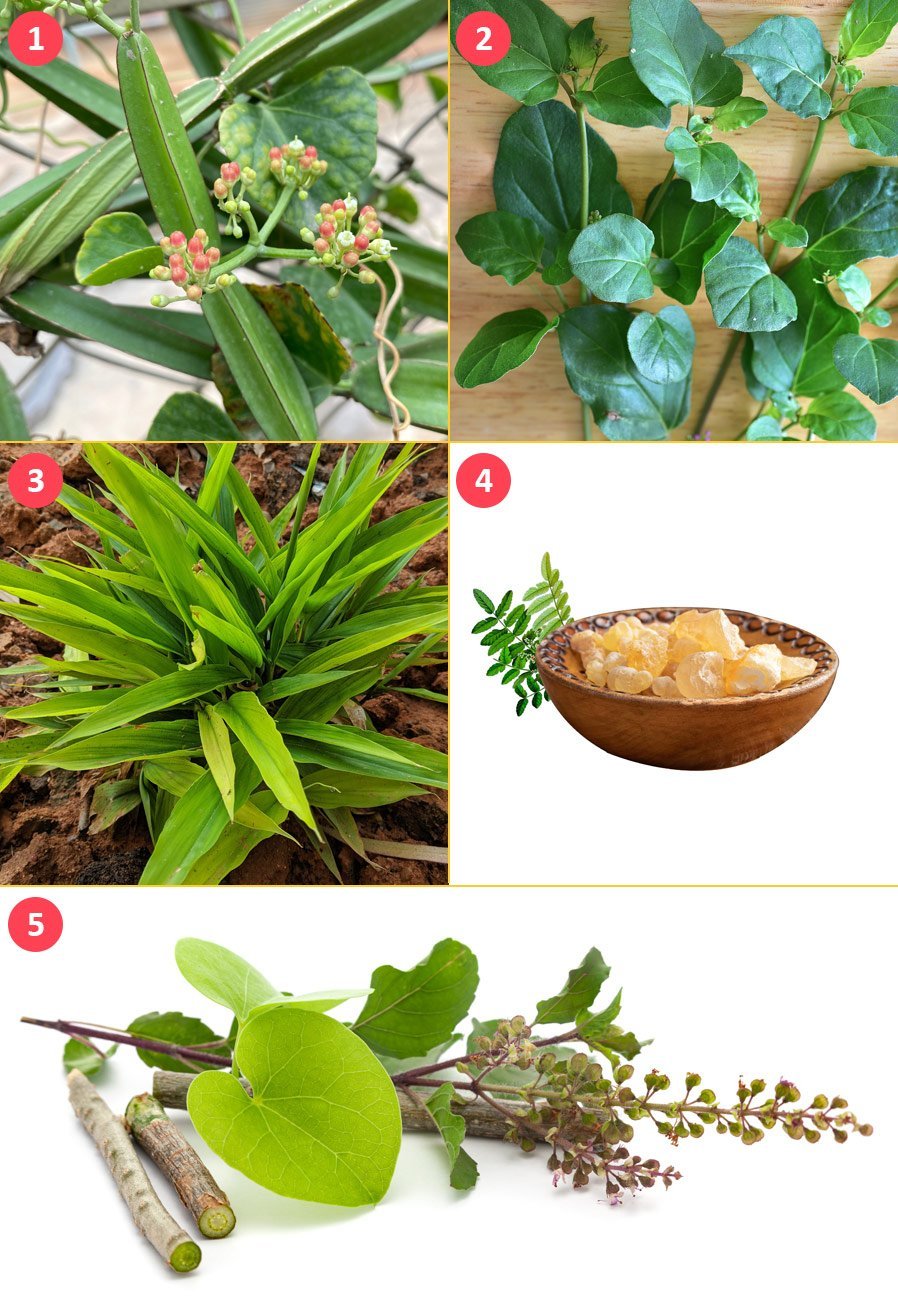 Arthritis herbs