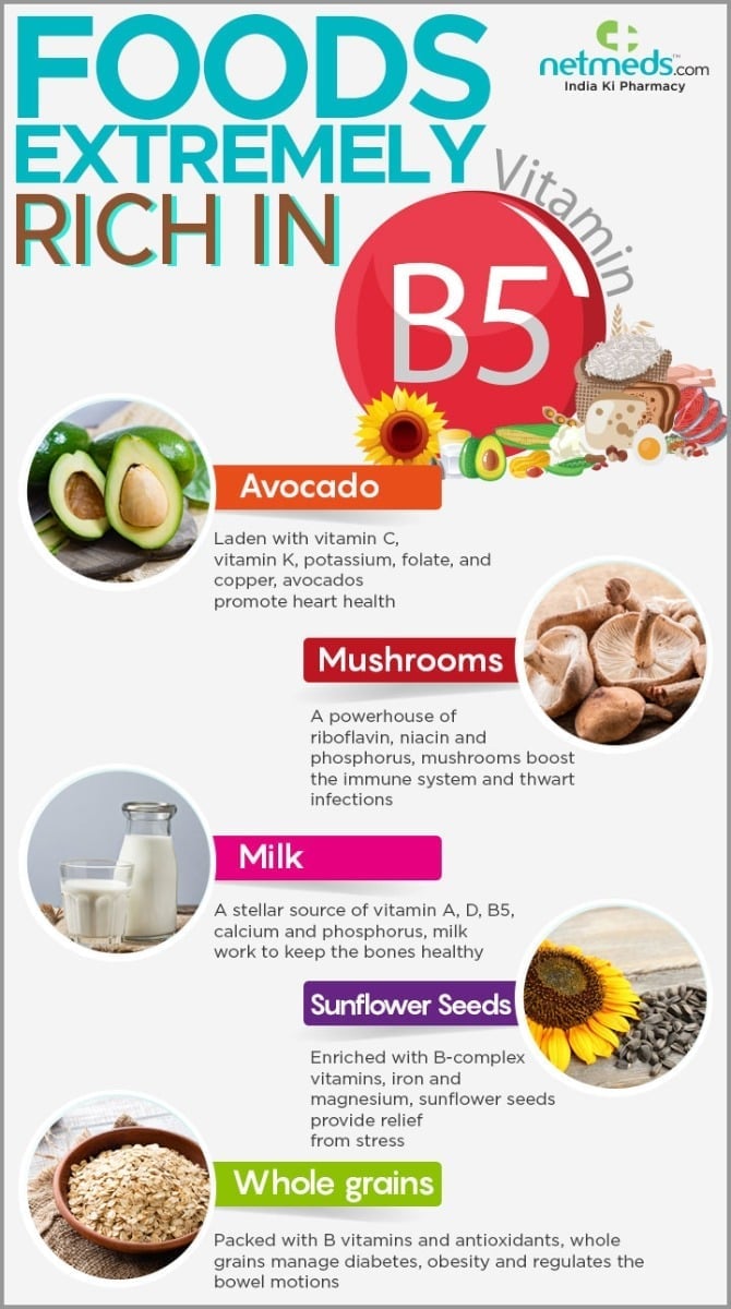 vitamin B5 infographic