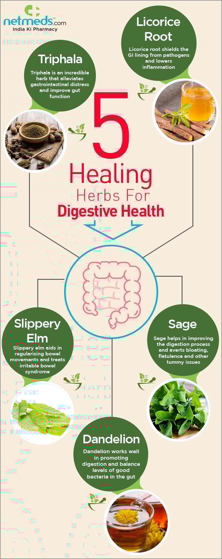 5 healing herbs for digestive health