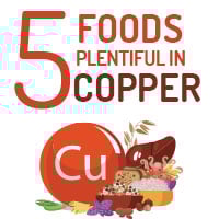 5 Foods Incredibly Rich In Copper That Enhances Overall Wellbeing - Infographic
