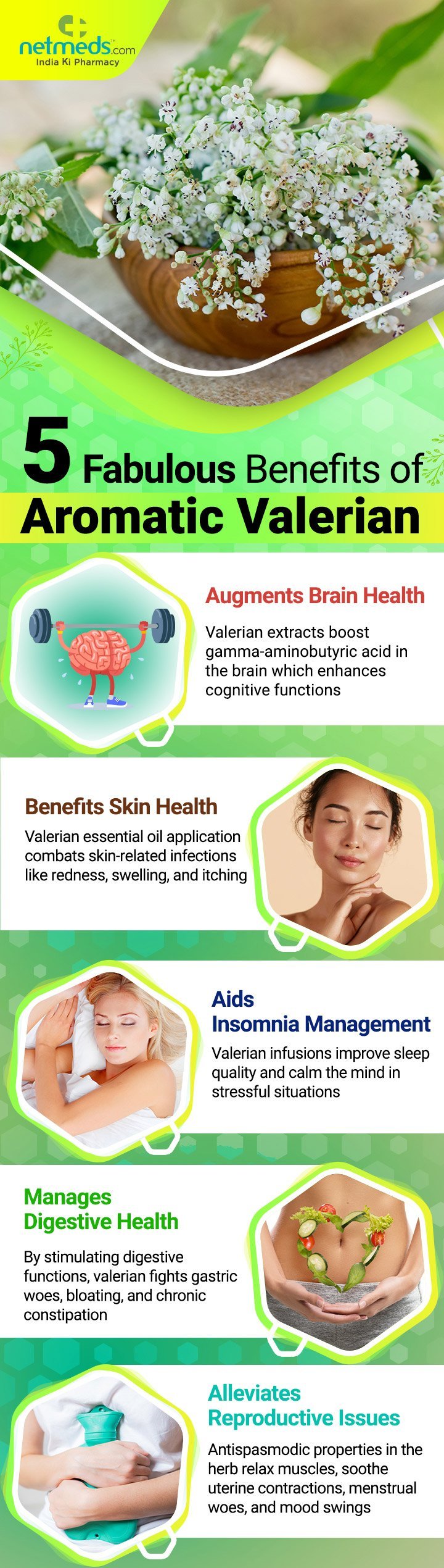 Main infographic Image