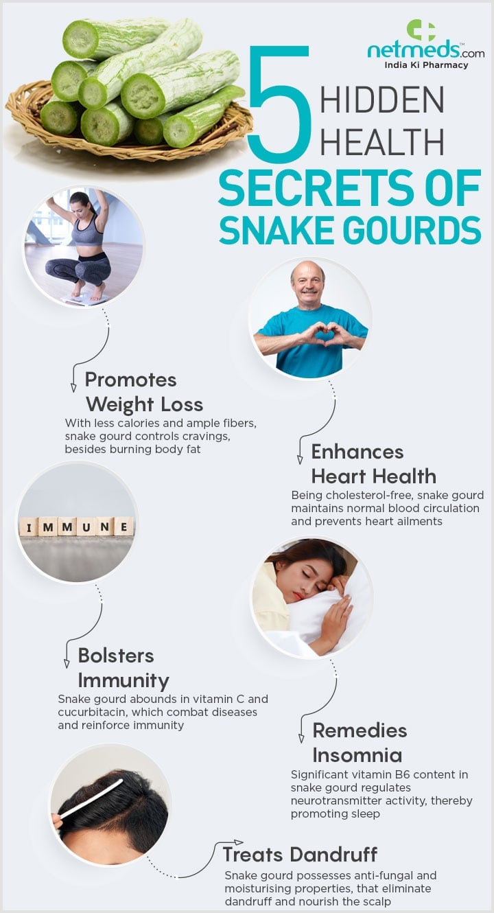 Snake gourd health benefits infographic