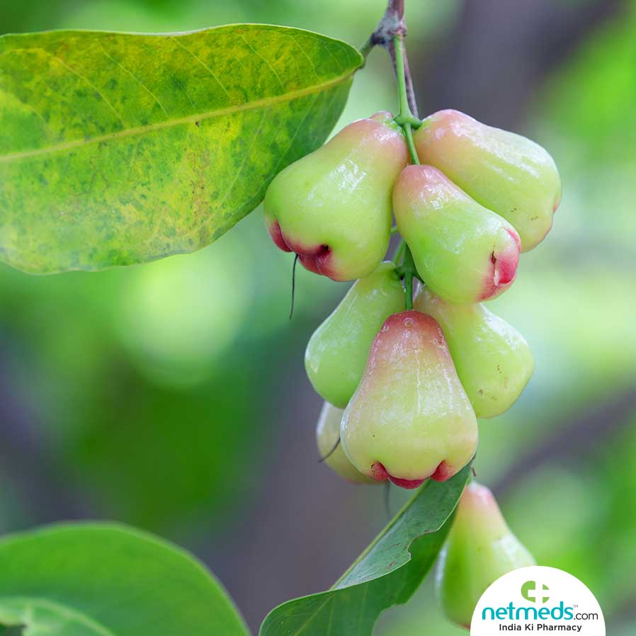 unripe water apple