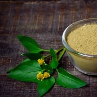 Toothache Plant: Fabulous Herb That Helps To Ease Pain And Inflammation- Infographics