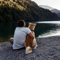 Traveling With Your Furry Friend? 5 Pet Care Tips To Make Your Trip Smooth, Safe, And Fun- Filled