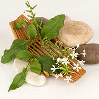 Chitrakadi Vati: Benefits, Uses, Method, Dosage and Side Effects