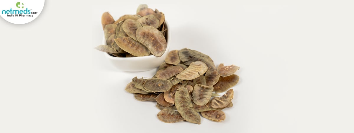 dry senna plant