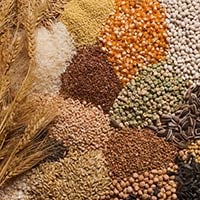 Whole Grain Cereal: Nutrition, Types, Health Benefits And Side Effects