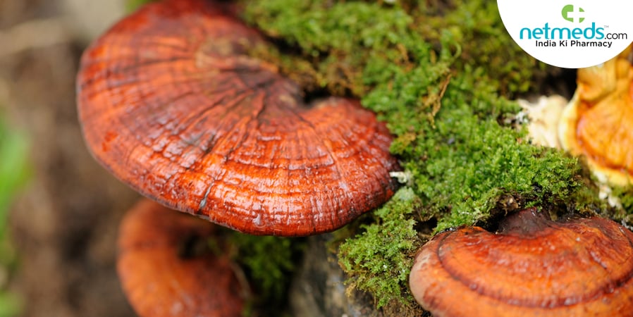 Relish mushroom