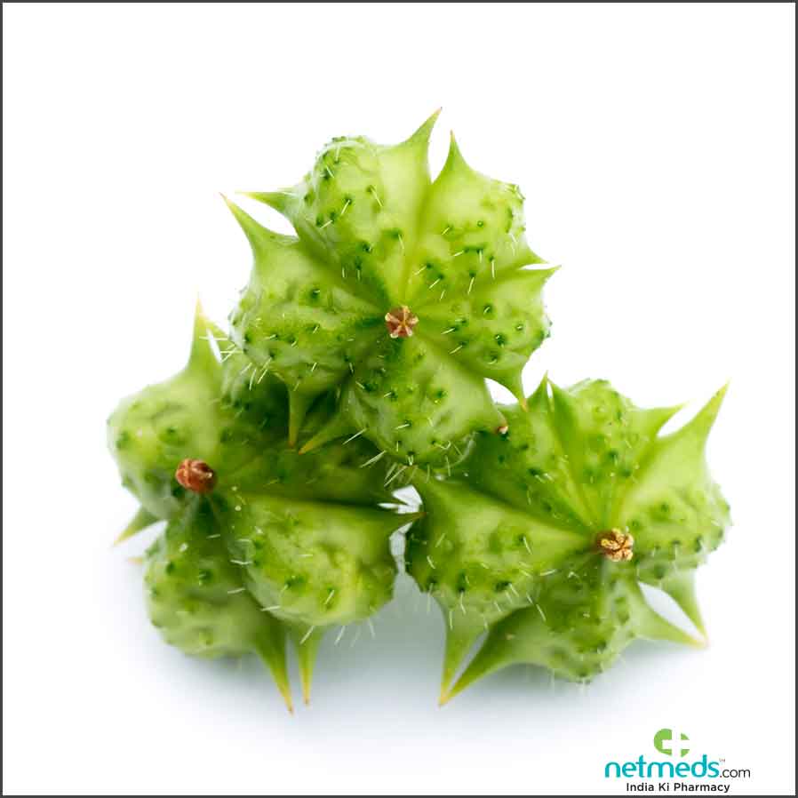 gokshura health advantages