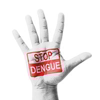 National Dengue Day: 5 Ways To Prevent This Deadly Fever