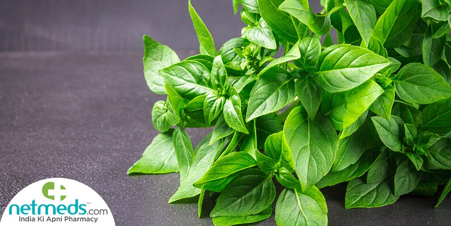 Lemon basil leaves