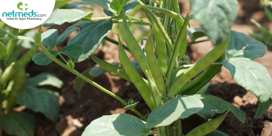 guar 1