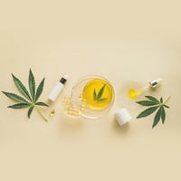 What Is CBD Oil? Is It Legal In India? Discover The Uses And Skin Healing Benefits of This Wonder Beauty Component