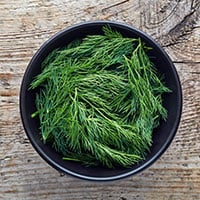 Dill Leaves: Astonishing Benefits Of Adding This Nutritious Herb To Your Diet