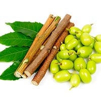 Neem: Benefits, Uses, Formulation, Ingredients, Dosage And Side Effects