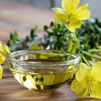Evening Primrose Extract For Beauty: Benefits, Uses, And Precautions Of This Herbal Supplement