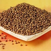 Matki/Moth Bean: Health Benefits, Nutrition And Recipes