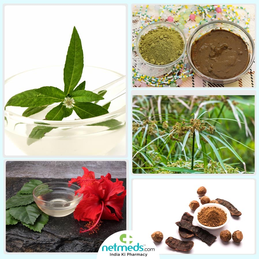 Ayurveda herbs for hair
