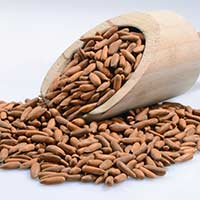 Chilgoza: 5 Amazing Health Reasons On Why You Should Snack On These Pine nuts
