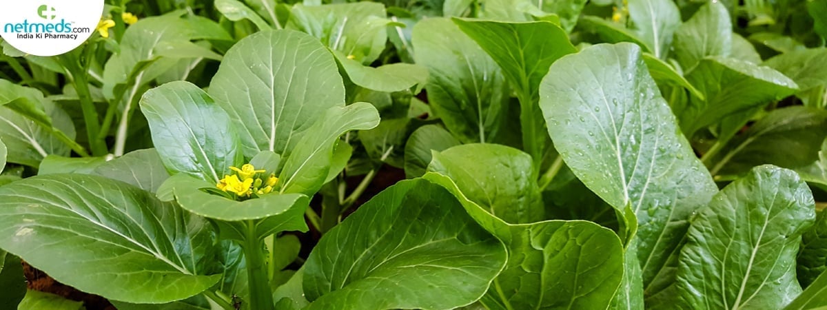 Choy Sum