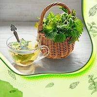 Nettle Leaves: Uses, Benefits and How To Make Healthy Herbal Tea From This Stinging Herb- Infographic