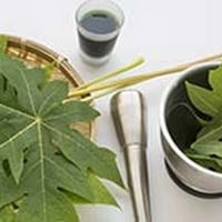 Dengue: Learn About Deadly Virus And Platelet Improving Diet