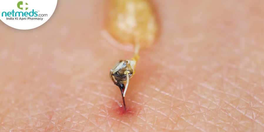 Insect biting