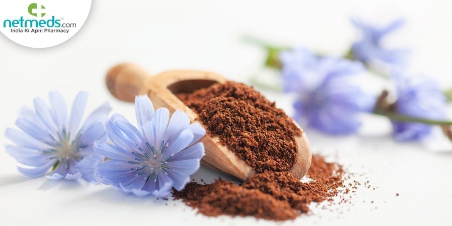 Kasani/Chicory