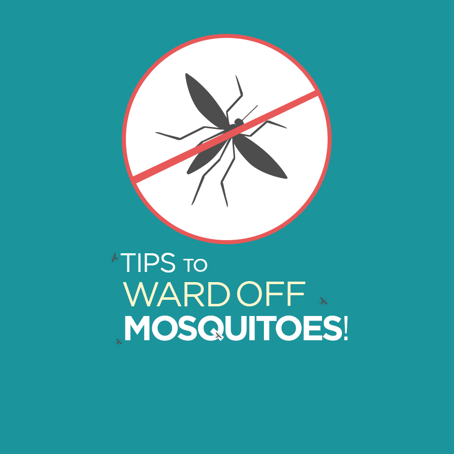Tips To Ward Off Mosquitoes!