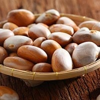 Jackfruit Seeds: Don’t Discard Those Nutty Kernels Yet. Read The Health Reasons Inside