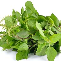 Hypotension: 5 Best Home Remedies To Maintain Blood Pressure