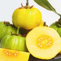 Garcinia Cambogia: Weight Loss Supplements, Health Benefits, Medicinal Properties And Side Effects