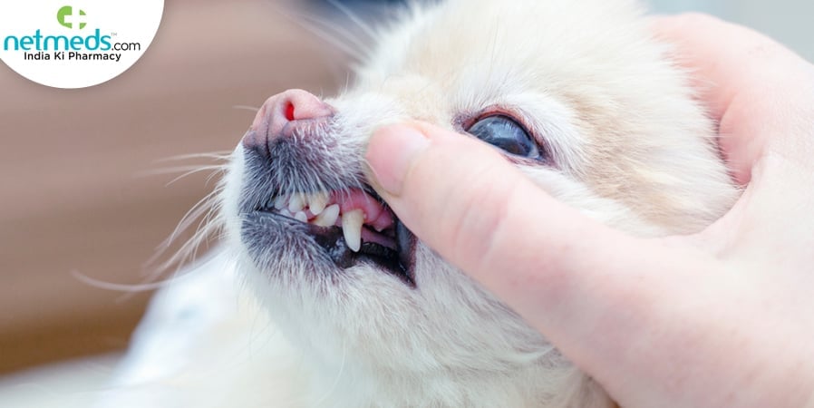periodontal disease