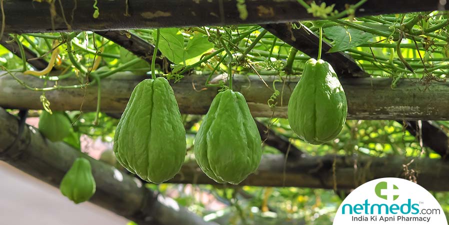 Chayote plant