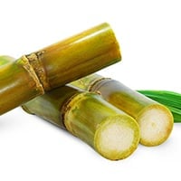 Sweeter Side Of Sugarcane That No One Told You About