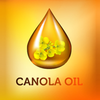 Canola Oil: Discover About Nutrition, Manufacturing Process, And Health Benefits 