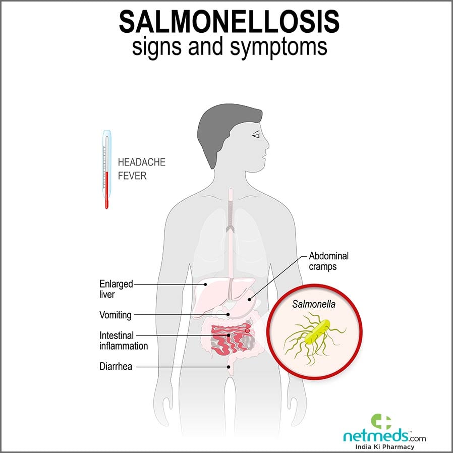 salmonellosis infection