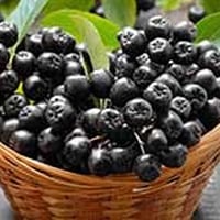 Add Chokeberries In Porridge To Help Boost Health