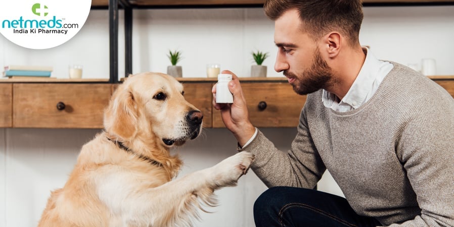 Dog Supplement