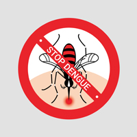 National Dengue Day: Debunking Common Myths About This Vector-Borne Disease