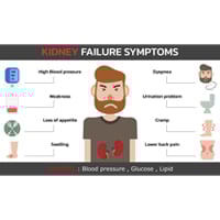 Kidney Health: Know About 11 Early Warning Signs of Renal Disease
